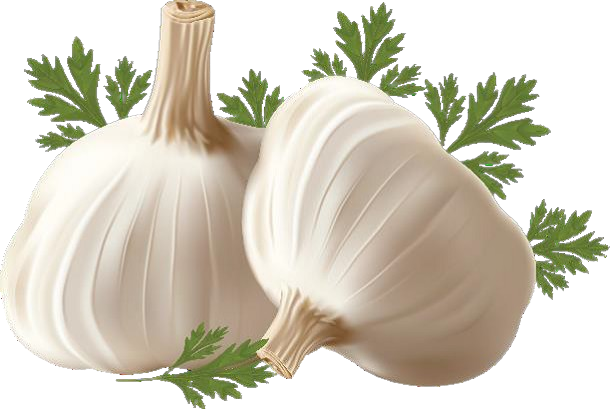 garlic